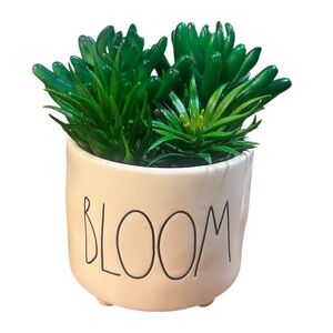 Rae Dunn BLOOM Planter with Green Succulents